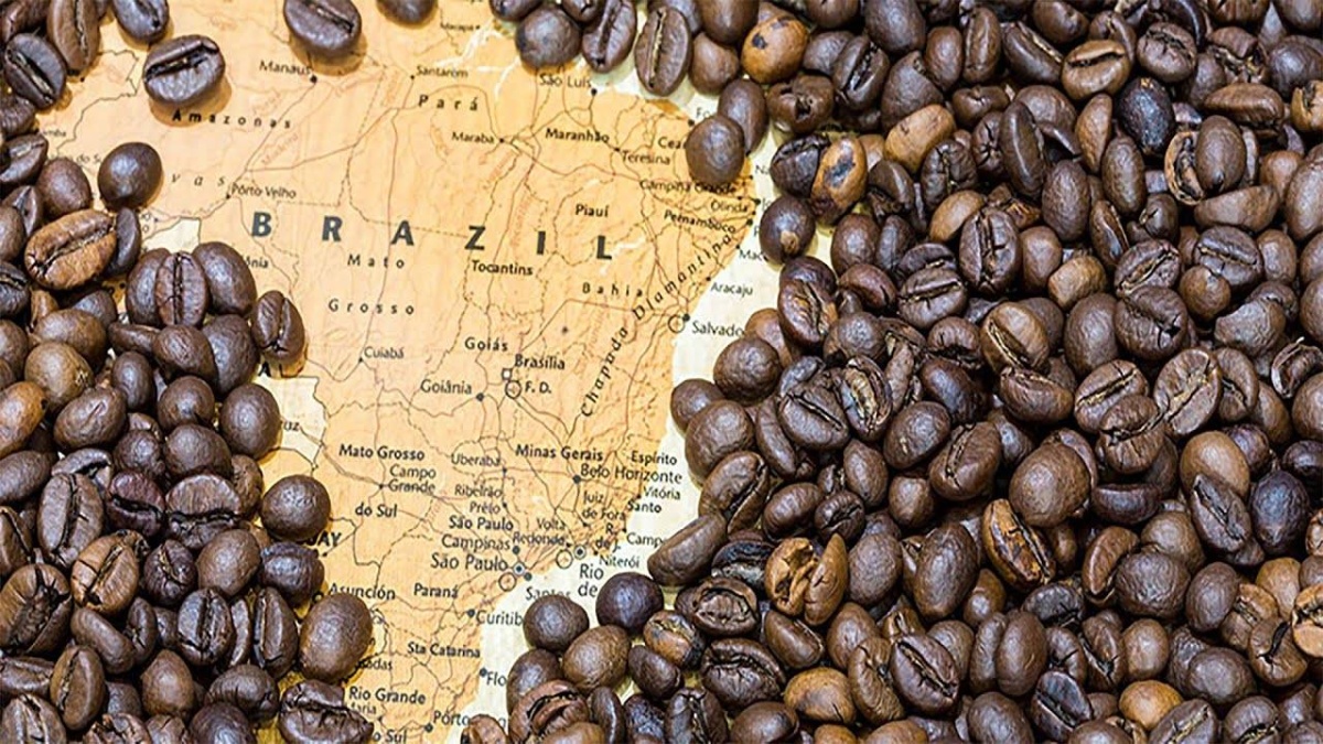 География кофе - разбираем вкусы по странам