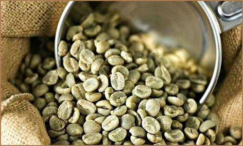 5_excelsa_coffee_bean.jpg
