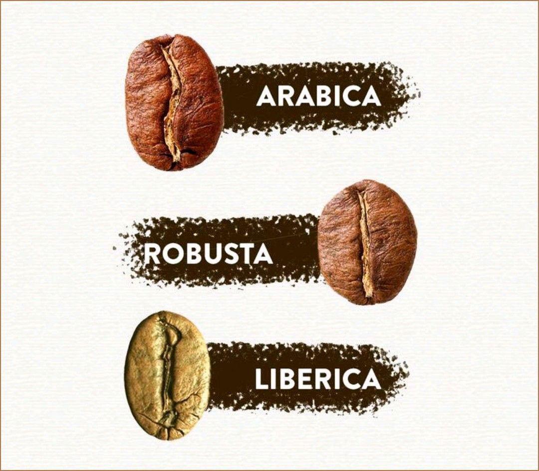 4_liberica_arabica_robusta_coffee_beans.jpg